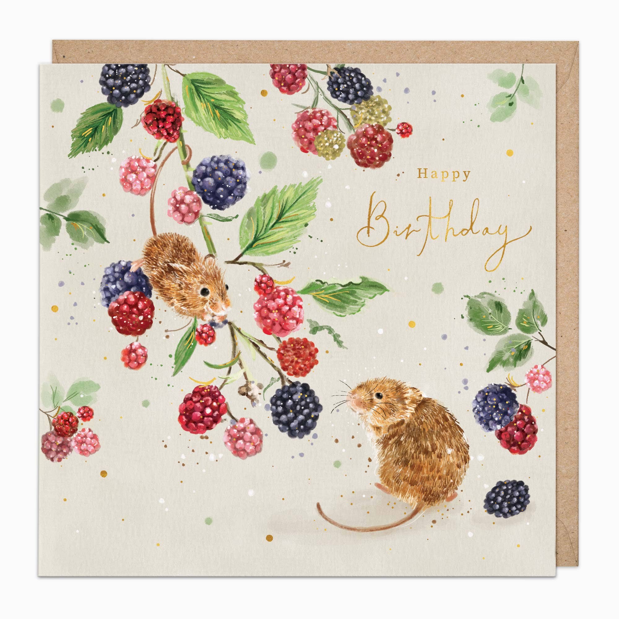 G570 - Blackberry Mice Birthday Card